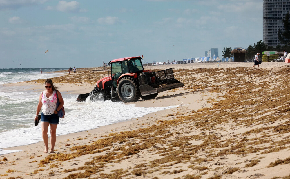 Floridai tuvojas katastrofāli milzīga jūras aļģu masa, apdraudot tūristus un vietējos iedzīvotājus 