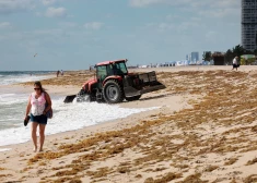 Floridai tuvojas katastrofāli milzīga jūras aļģu masa, apdraudot tūristus un vietējos iedzīvotājus 