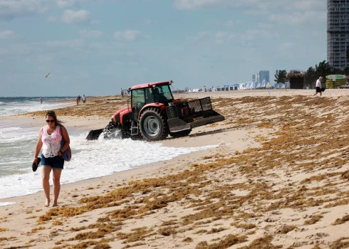 Floridai tuvojas katastrofāli milzīga jūras aļģu masa, apdraudot tūristus un vietējos iedzīvotājus 