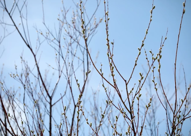 Otrdien starp mākoņiem uzspīdēs saule, taču vietām arī līs