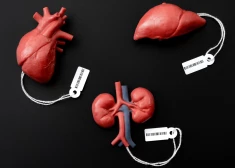 Иллюстративное фото