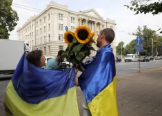 Поля подсолнечников - один из символов Украины, поэтому эти растения стали знаковыми для людей в разных уголках мира как подтверждение солидарности с Украиной.