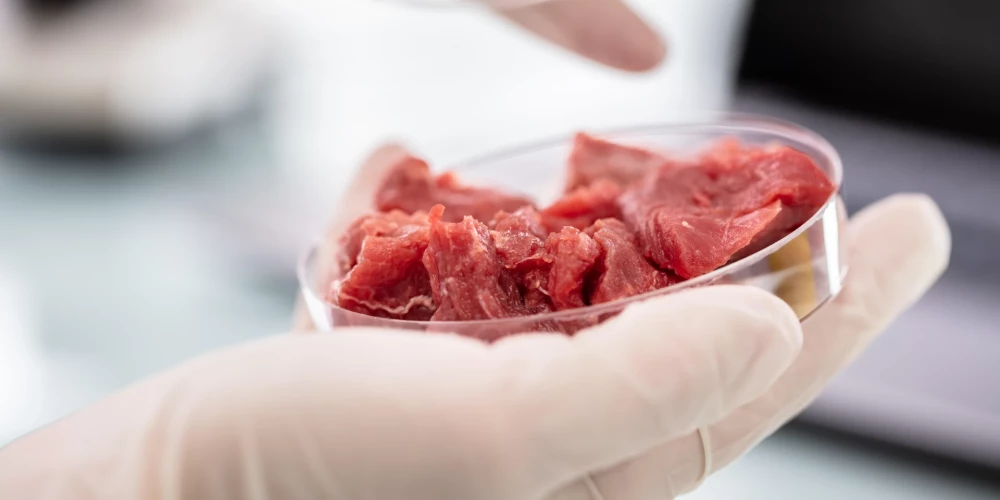 Itālija cenšas aizliegt laboratorijā audzētu gaļu