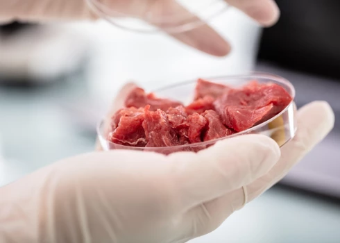 Itālija cenšas aizliegt laboratorijā audzētu gaļu