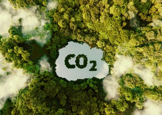 Pareizi apsaimniekots mežs - jaudīga skābekļa ražotne