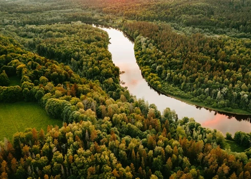 Kas notiek ar meža īpašumiem Latvijā?