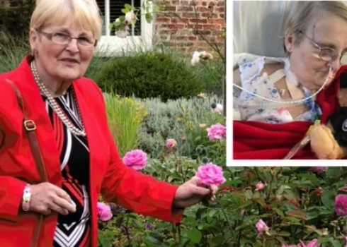 Kerola Etla (ekrānuzņēmums)