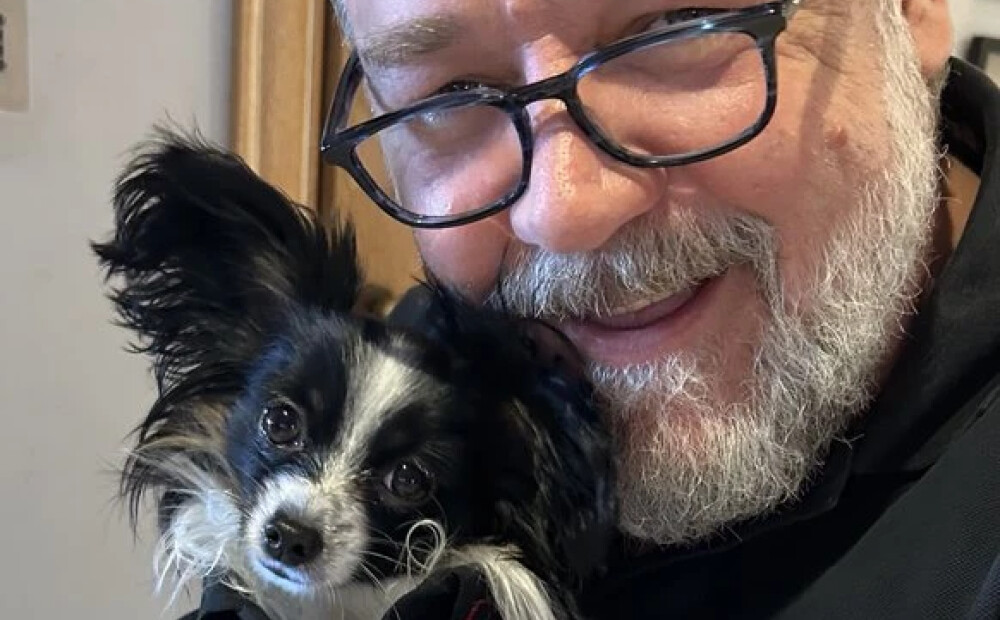 Rasels Krovs atklāj, ka nelaimes gadījumā bojā gājis viņa mīļotais ģimenes suns. Viņš nomiris aktierim uz rokām