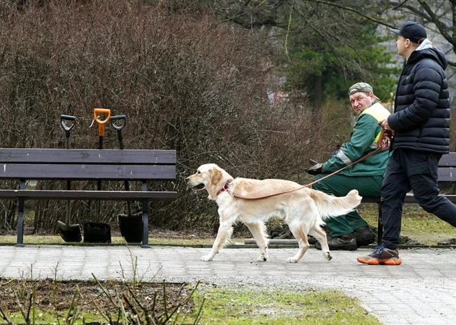 Svētdien Latvijā gaidāms saulains, bet vējains laiks