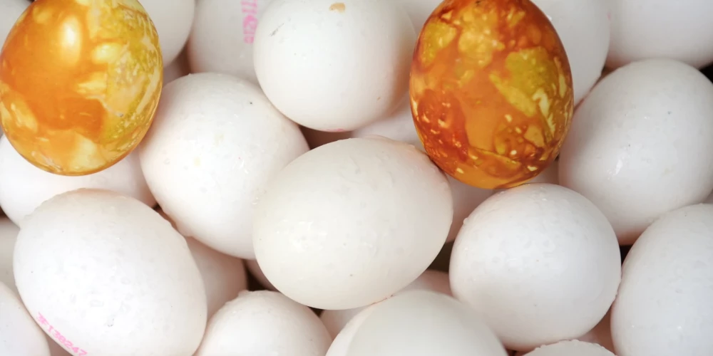 Lieldienās pieprasītās baltās vistu olas šogad importē no Ukrainas