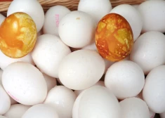 Lieldienās pieprasītās baltās vistu olas šogad importē no Ukrainas