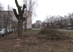 В зоне проводимых работ не было никаких ограждений. (Фото: скриншот видео TV3)