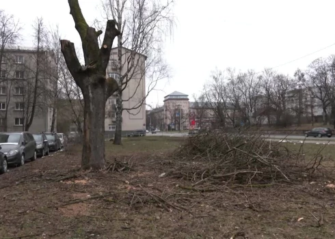 В зоне проводимых работ не было никаких ограждений. (Фото: скриншот видео TV3)