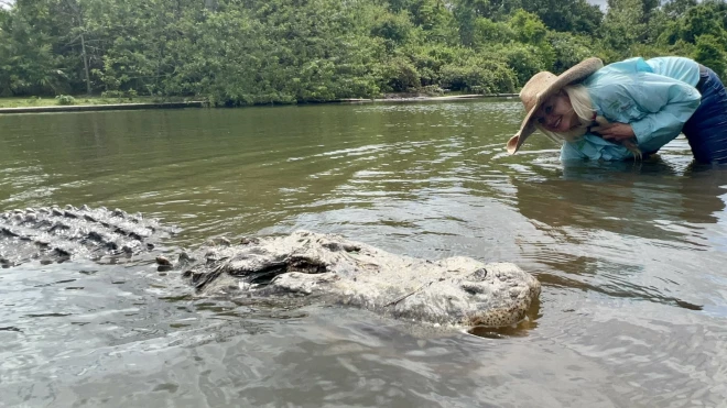 Krokodilu aprūpētāja Savanna Boana.