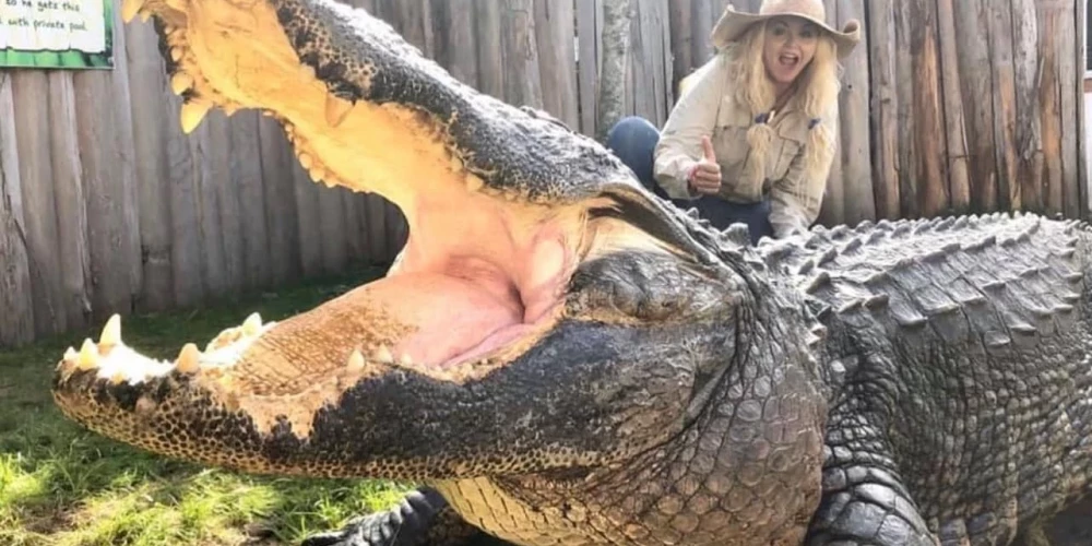FOTO: blondā "aligatoru mamma" bauda mīļus mirklus ar rāpuļiem, taču sūkstas, ka neviens vīrietis tādēļ nevēlas ar viņu satikties 