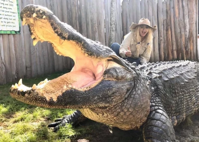 FOTO: blondā "aligatoru mamma" bauda mīļus mirklus ar rāpuļiem, taču sūkstas, ka neviens vīrietis tādēļ nevēlas ar viņu satikties