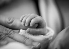 Исследование: из-за Covid-19 в США два ребенка родились с патологиями мозга