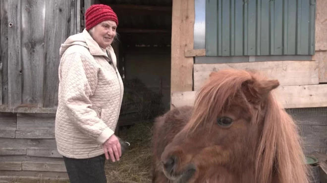 Мария заботится о цыплятах, собаках и кошках, а также о пони, которого купила за 700 латов, когда вышла на пенсию.
