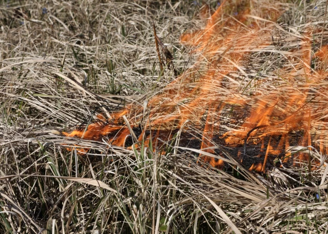 Lieldienu brīvdienās glābēji dzēsuši 106 kūlas ugunsgrēkus