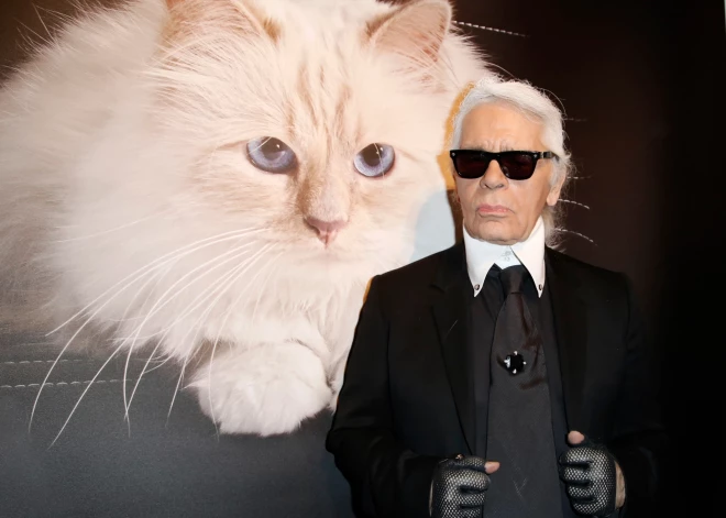 Звездой бала Института костюма станет кошка Карла Лагерфельда