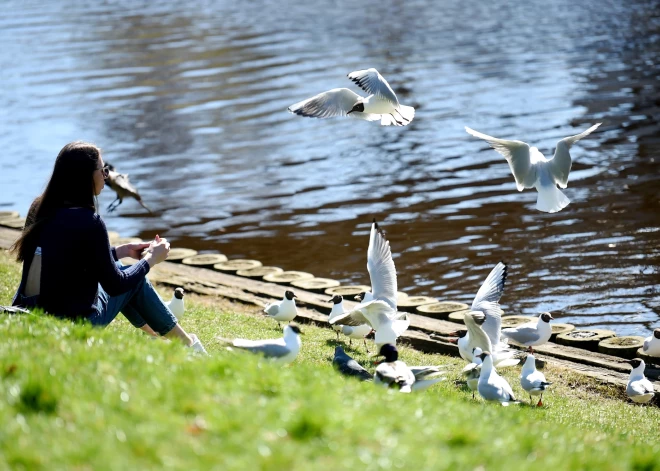 Astoņās novērojumu stacijās pārspēts 11. aprīļa siltuma rekords