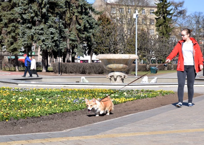 На следующей неделе будет много солнца и мало осадков