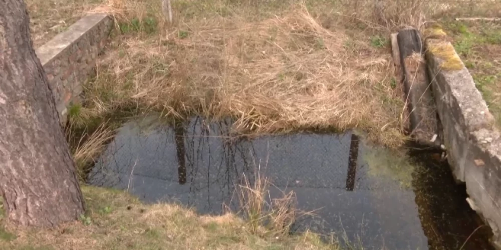 "Я поливала свою теплицу этой водой": женщина в Елгаве нашла труп в канаве у своего дома