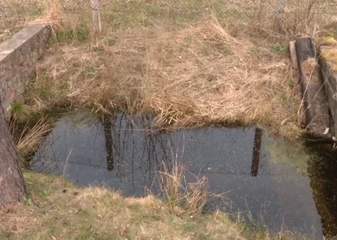 "Я поливала свою теплицу этой водой": женщина в Елгаве нашла труп в канаве у своего дома