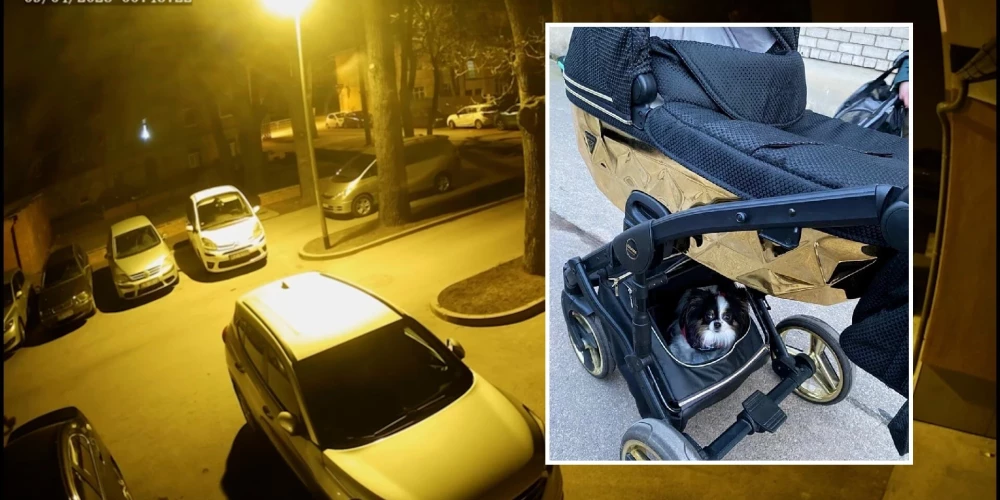 Воров зафиксировали камеры видеонаблюдения. (Фото: скриншот видео TV3)