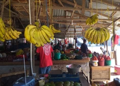 Būsiet sokoni – tirgū un gribēsiet banānus, prasiet ndizi. Tie ir uzreiz ēdamie, nesajauciet ar mzuzu, cepamajiem banāniem. 
