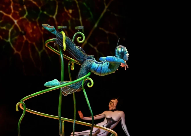 Билеты на один из спектаклей ОVО Cirque du Soleil уже распроданы