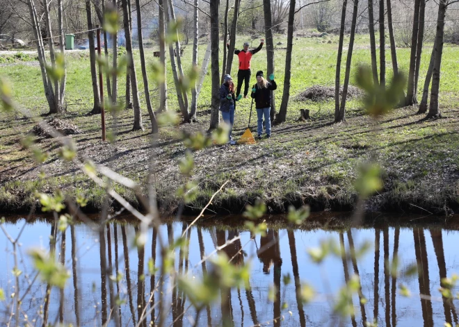 Сбор мусора, благоустройство и озеленение: 22 апреля в Латвии пройдет Большой субботник