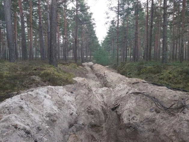 Лес покрыт траншеями.