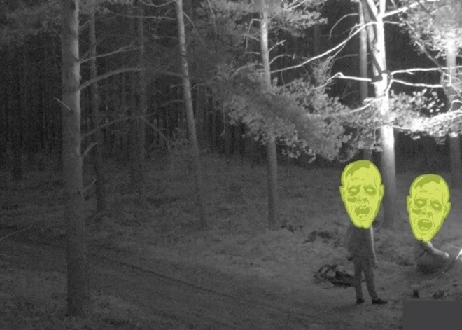 Операция лесников и полиции: в лесу под Ригой пойман вор-кабельщик и поджигатель