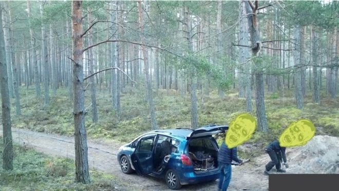 Воры "за работой". (Фото: пресс-фото)