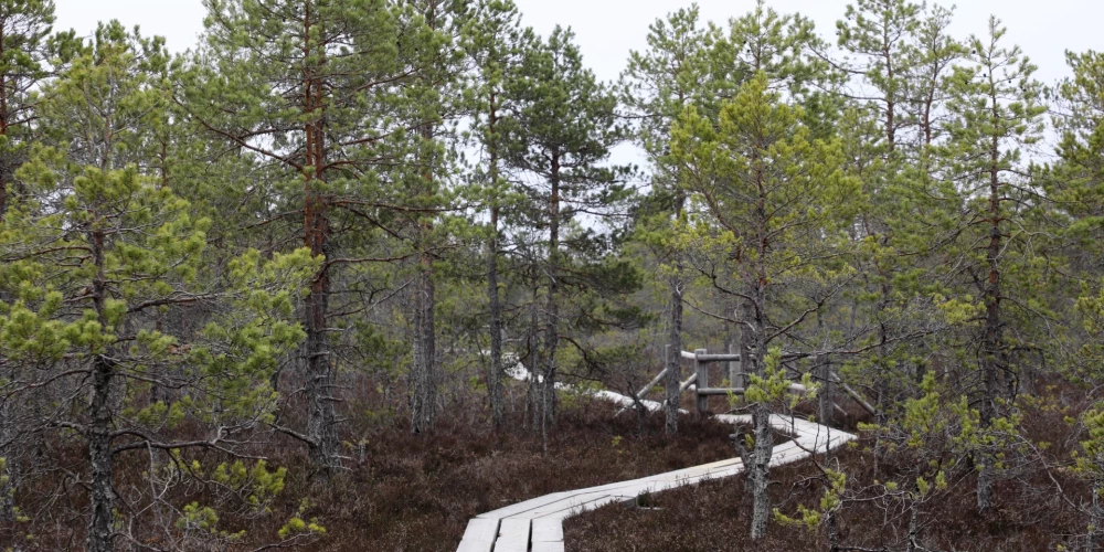 Ķemeru Nacionālais parks ir trešais lielākais Latvijas nacionālais parks, tas ir dibināts 1997. gadā. Parks atrodas Jūrmalas teritorijas rietumdaļā un Jelgavas, Mārupes un Tukuma novadā. Ķemeru Nacionālā parka platība ir 38 165 hektāri (tajā skaitā 1954 hektāri jūras akvatorijas).