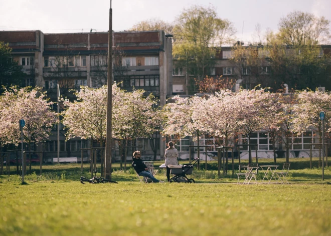 Šogad IKEA sadarbībā ar Rīgas pašvaldību ir izvietojusi un labiekārtojusi atpūtas zonas, kur apmeklētāji var baudīt pikniku, kopā būšanu un atpūsties, apmeklējot parku.