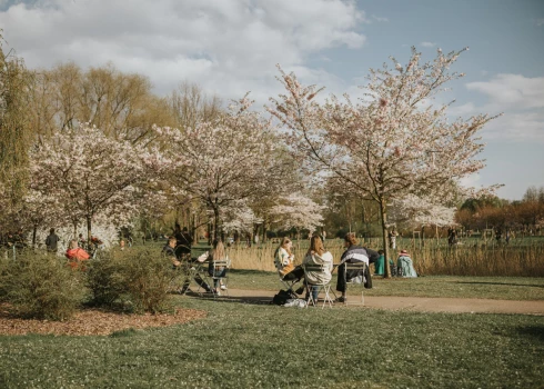 "Pop-up" piknika zona Pārdaugavā.