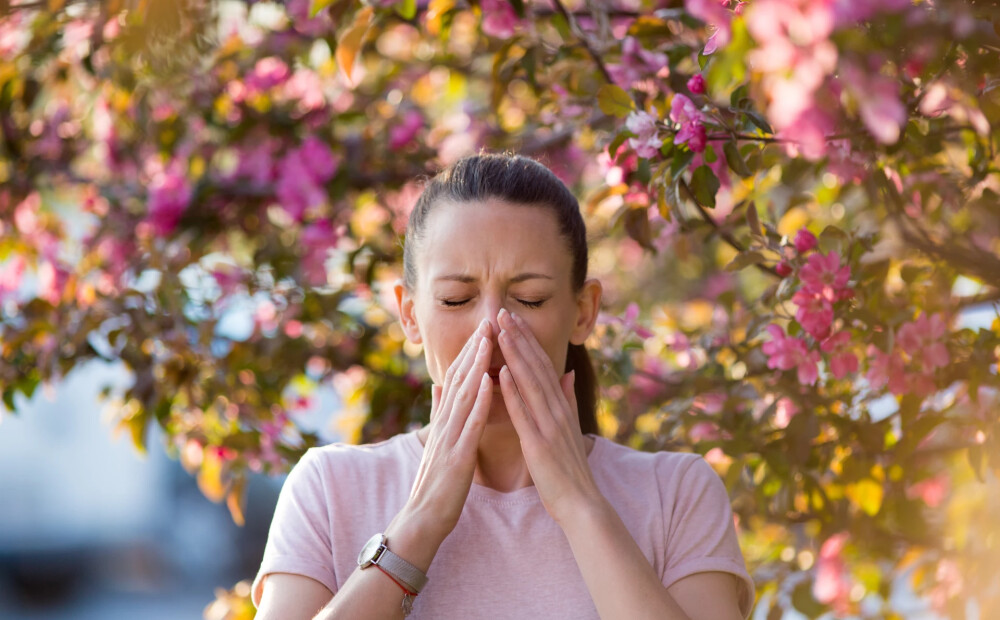Klāt skaistais ziedēšanas laiks! Kā to izbaudīt tiem, kam alerģijas?