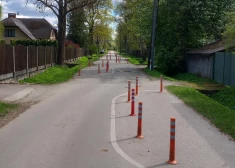 Автора фотографии поразило то количество оранжевых столбиков, которое он увидел на тихой улице в частном секторе.