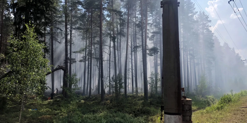 В латвийских лесах пожароопасно