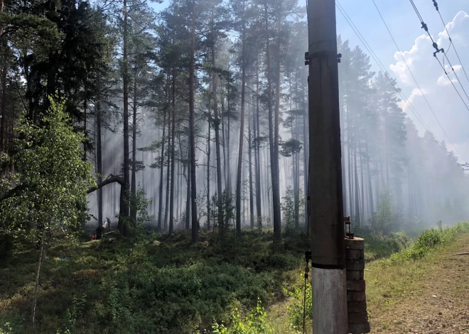 В латвийских лесах пожароопасно