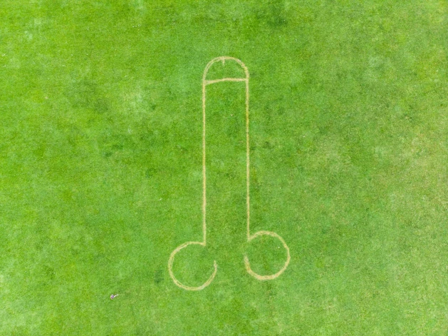 Īpaši krāšņais zāliens ir krietni pabojāts.