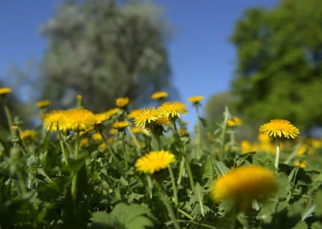 Iepriecinošas ziņas par laikapstākļiem pirmdien