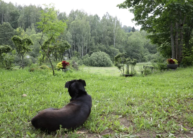 Par suņa noslīcināšanu vannā piespriež nosacītu cietumsodu