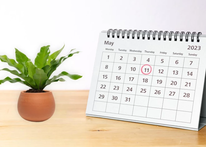 День рождения Константина Меладзе и открытие Этнографического музея в Риге: чем еще запомнилось 11 мая в истории