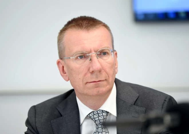 "Новое Единство": ни одна партия пока еще не выразила поддержку Ринкевичу