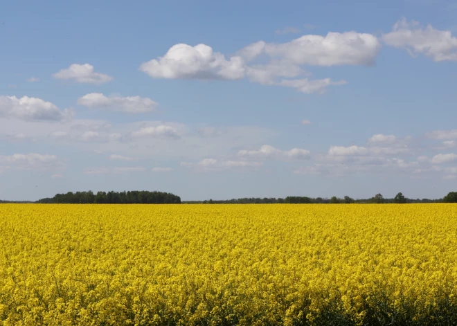 Nedēļas pirmā darbadiena būs vissiltākā