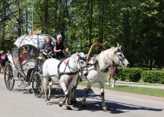 Парад лошадей в Балви (Фото: Ziemeļlatgales atspulgs/Facebook)