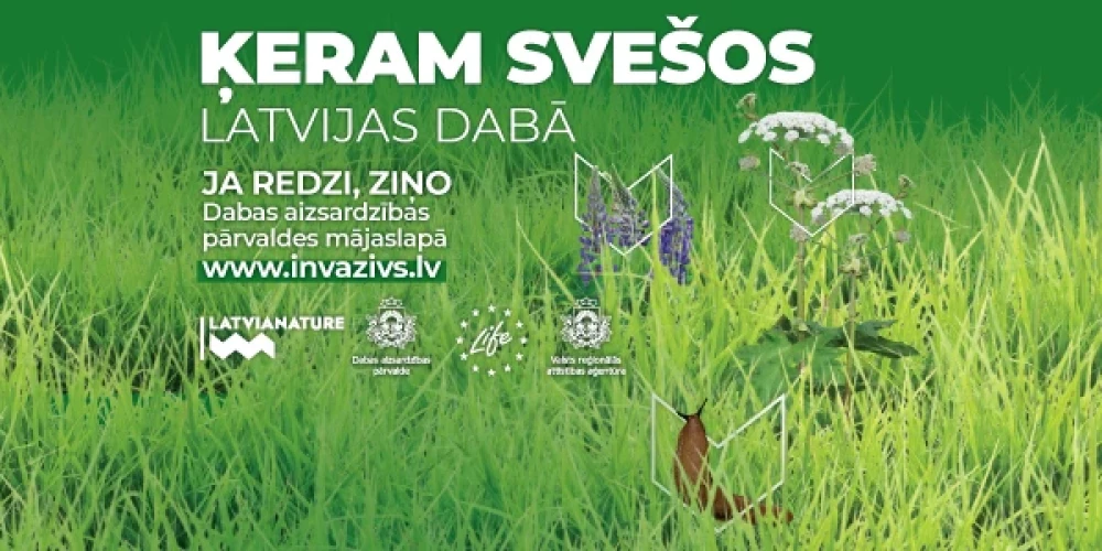 Dabas aizsardzības pārvaldes projekta LatViaNature kampaņa “Ķeram svešos Latvijas dabā!”. Lai veicinātu cilvēku izpratni par bīstamajām invazīvajām sugām, to radītajiem draudiem Latvijas dabai  un informētu par nepieciešamību ziņot par šo sugu novērojumiem dabā vietnē www.invazivs.lv,